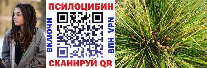 Галлюциногенные грибы прущие грибы  купить наркоту  Лиски 