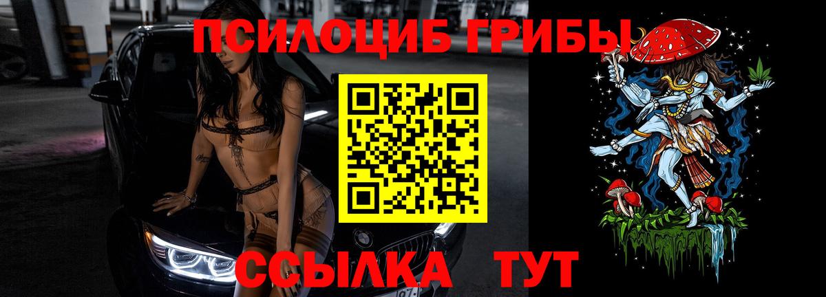 Псилоцибиновые грибы Cubensis Лиски