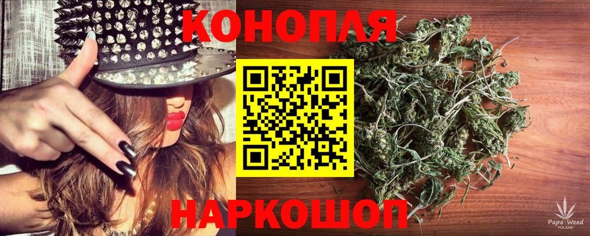 Конопля сатива Лиски